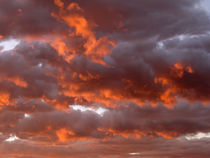 Cumulus clouds at sunrise von Danita Delimont