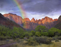 Rainbow at Towers of the Virgin, Zion National Park, Utah von Danita Delimont