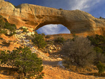 Wilson Arch, Utah by Danita Delimont