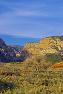 An isolated location in Dinosaur National Monument, Utah von Danita Delimont