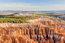 Hoodoos tower at Sunrise Point at Bryce Canyon National Park by Danita Delimont