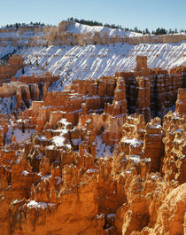 USA, Utah, Bryce Canyon National Park, View of sunset point at morning by Danita Delimont