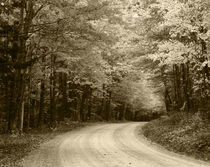 USA, Vermont, Green Mountain National Forest, Road through a... by Danita Delimont
