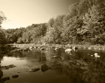 USA, Vermont, Autumn trees reflected in Deerfield River von Danita Delimont