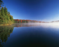 USA, Vermont, Adams Reservoir, Woodford State Park, Autumn t... by Danita Delimont