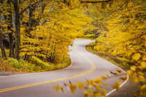 Curvy road in autumn near Smugglers Notch, Stowe, Vermont, USA. von Danita Delimont