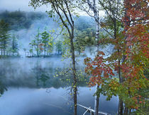 Emerald Lake in fog, Emerald Lake State Park, Vermont by Danita Delimont