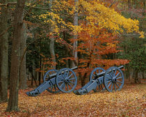 USA, Virginia, Colonial National Historic Park, French Artil... von Danita Delimont