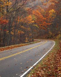 USA, Virginia, Shenandoah National Park, Skyline Drive by Danita Delimont