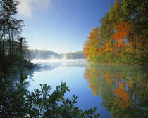USA, Virginia, Fairy Stone State Park, Fairy Stone Lake by Danita Delimont