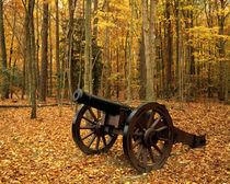 USA, Virginia, Colonial National Historical Park, Cannon at Yorktown von Danita Delimont