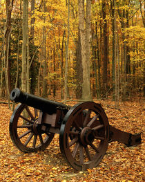 USA, Virginia, Colonial National Historical Park, Cannon at Yorktown von Danita Delimont