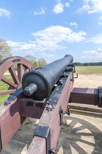 USA, Virginia, Yorktown, cannon on battlefield by Danita Delimont