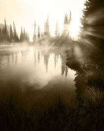 USA, Washington State, Mt Rainier National Park, Sunbeam alo... by Danita Delimont