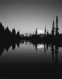 USA, Washington State, Mount Rainier National Park, Mount Ra... by Danita Delimont