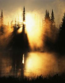 USA, Washington State, Mount Rainier National Park, Sunlight... by Danita Delimont