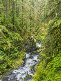 USA, Washington State, Olympic National Park by Danita Delimont