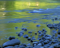 USA, Washington, Olympic National Park, Reflections in the Elwha River by Danita Delimont