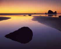 USA, Washington, Olympic Peninsula, Pacific Beach by Danita Delimont