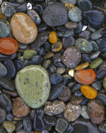 USA, Washington, Lopez Island, Agate Beach County, Stones von Danita Delimont