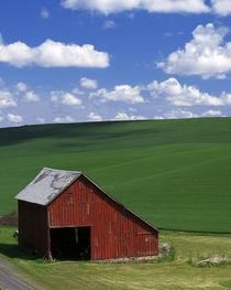 USA, Washington, Whitman County, Barn and Spring Fields by Danita Delimont