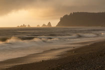 United States, Washington State, Olympic National Park, Ruby Beach by Danita Delimont