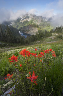 USA, Washington State, Mt von Danita Delimont