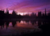 Reflection Lakes - sunrise by Danita Delimont