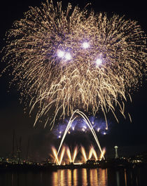 WA, Seattle, Fireworks on July 4th, at Gasworks Park; Space ... by Danita Delimont