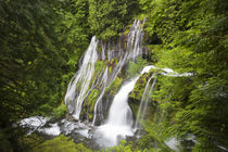 WA, Gifford Pinchot National Forest, Panther Creek Falls, wi... by Danita Delimont