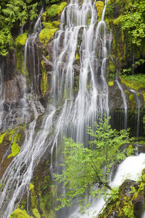 WA, Gifford Pinchot National Forest, Panther Creek Falls, an... von Danita Delimont