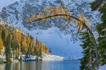 USA, Washington, Wenatchee National Forest, Blue Lake with g... von Danita Delimont