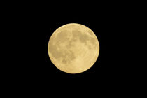 USA, Washington State, Seattle, Full Moon by Danita Delimont