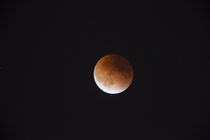 USA, Washington State, Seattle, Lunar Eclipse, total lunar eclipse by Danita Delimont