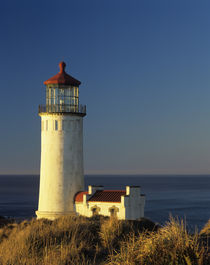 WA, Cape Disappointment State Park, North Head Lighthouse, e... von Danita Delimont