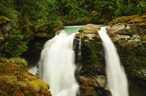 Hooksack Falls, Mount Baker-Snoqualmie National Forest, Wash... von Danita Delimont