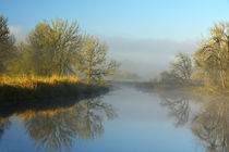 Misty Morning, Ridgefield National Wildlife Refuge, Ridgefie... von Danita Delimont