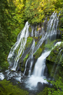 Panther Creek Falls, Gifford-Pinchot National Forest, Carson... by Danita Delimont