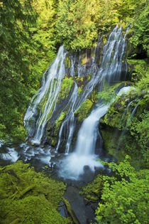 Panther Creek Falls, Carson, Washington, USA by Danita Delimont