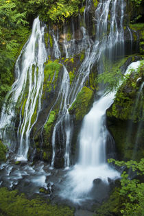 Panther Creek Falls, Carson, Washington, USA by Danita Delimont