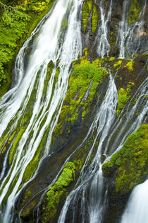 Detail, Panther Creek Falls, Carson, Washington, USA by Danita Delimont