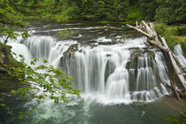 Lower Lewis Falls, Lewis River, Cougar, Washington, USA von Danita Delimont