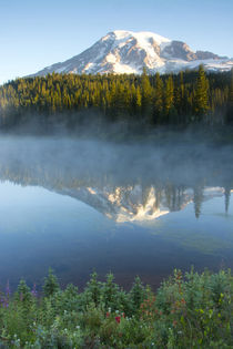 Sunrise, Mount Rainier, Reflection Lake, Mount Rainier Natio... von Danita Delimont