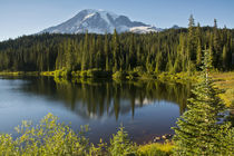 Evening, Mount Rainier, Reflection Lake, Mount Rainier Natio... von Danita Delimont