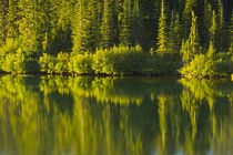 Close up, reflection, Reflection Lake, Mount Rainier Nationa... by Danita Delimont