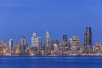 Seattle Skyline by Danita Delimont