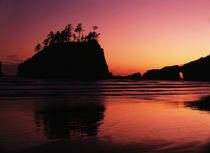 USA, Washington State, Olympic National Park, View of Second beach by Danita Delimont
