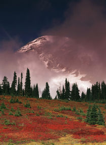 USA, Washington State, View of Mt by Danita Delimont