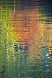 Fall color trees reflected in rippled water by Danita Delimont