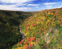 USA, West Virginia, Blackwater Falls State Park, View of Bla... von Danita Delimont